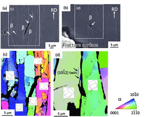 Microcracks In Grains In The Longitudinal Section Beneath The Fracture