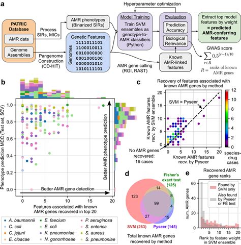 Evaluation of a GWAS-oriented machine learning workflow for identifying ... 