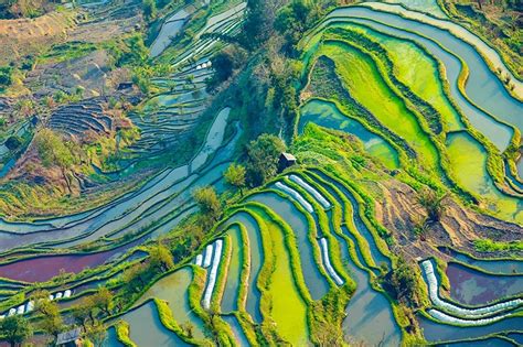 云南红河哈尼梯田湿地甲天下图 国家旅游地理 探索自然 传播人文 愉悦身心