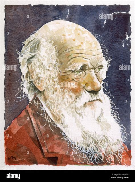 Charles Darwin Naturalist Hi Res Stock Photography And Images