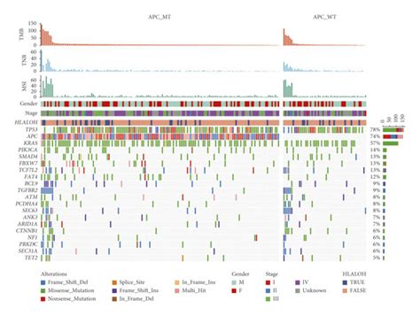 Distinct Mutational Patterns In Chinese Crc Patients By Apc Gene