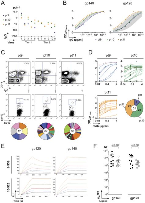 Production Of Anti Gp140 Hiv Antibodies From Single Memory B Cells A