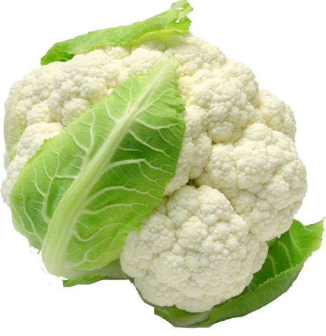 Download Fresh Cauliflower Isolated Png