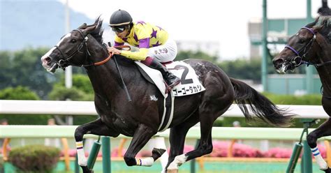 【2歳新馬・函館5r】ゴーゴータカシが〝タケシ〟騎手で逃げ切りv！ サンスポzbat