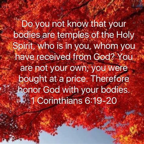 1 Corinthians 6 19 20 Holy Spirit 1 Corinthians Todays Verse