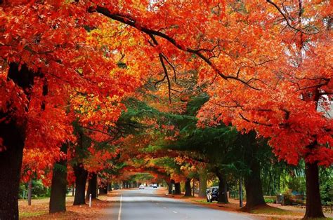 Autumn in Australia Travel Guide