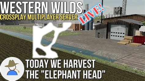 Live Today We Harvest The Elephant Head Western Wilds Crossplay