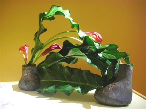 Ikebana International Sas Does Ikebana International