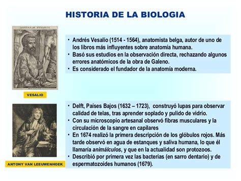 Historia De La Biologia Hot Sex Picture