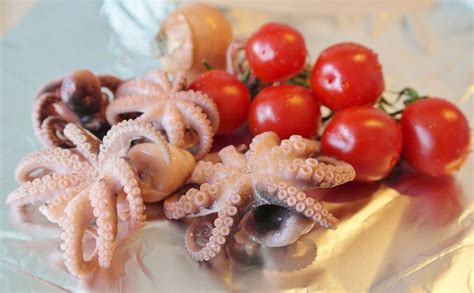 Beneficios Del Pulpo Crudo Qualisa Distribuidora De Alimentos