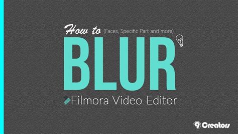 Wondershare Filmora How To Pixelate Blur Hide Personal Info