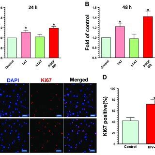 Hiv Tat Mediated Upregulatin Of Human Pasmcs Proliferation Pasmcs Were