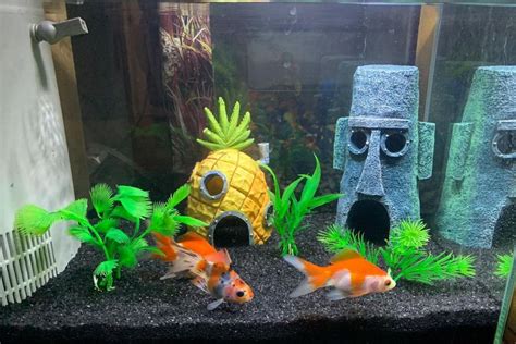 Spongebob Themed Fish Tank