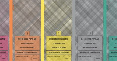 Referendum Giustizia Affluenza Quorum E Risultati In Diretta Il Tempo