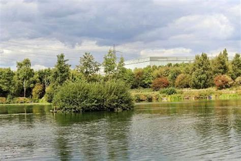 Hams Hall Fishery Birmingham Fishery Guide