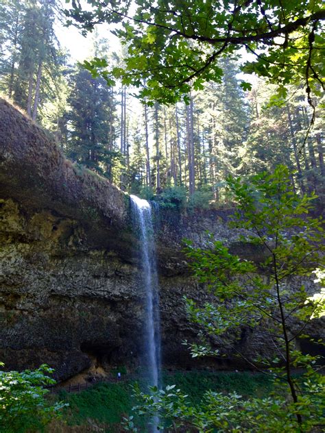 Silver Falls Oregon Nature Backgrounds Phone Backgrounds Amazing