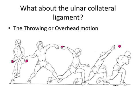 Carrying Angle