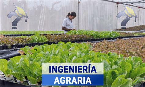 Descubre Todo Sobre La Carrera De Ciencias Agrarias