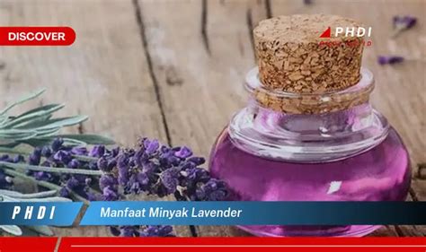 Ketahui 7 Manfaat Minyak Lavender Yang Bikin Kamu Penasaran