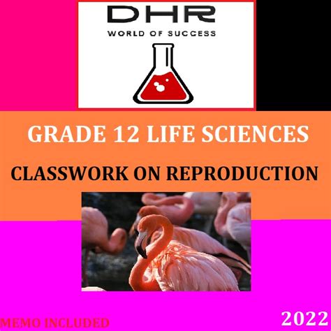 Grade 12 Life Sciences Classwork On Reproductive Strategies And Human