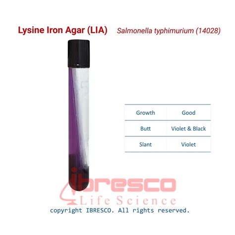 Lysine Iron Agar LIA Ibresco