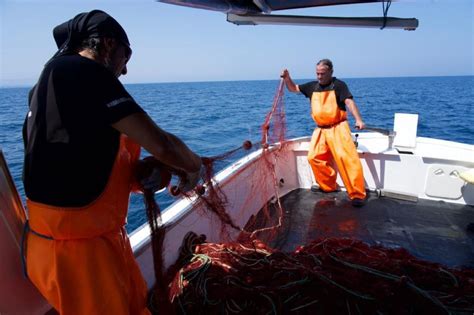 Fasano Fish Festival Politici A Pesca A Torre Canne Pentassuglia