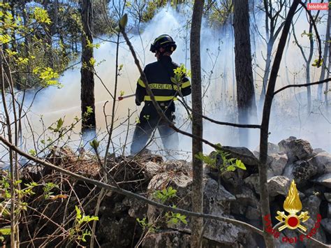 Fiamme Sul Carso Doppio Incendio Boschivo Tra Monfalcone E Duino Aurisina