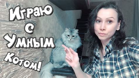 Мой Умный Кот 😄 Игра с Котом😍 Кот Мартин Кот Остин 😼😺 - YouTube