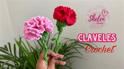 Tutorial Flor Clavel Crochet YouTube