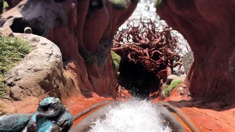 Goodbye Splash Mountain Pressed Penny Privately Designed David S