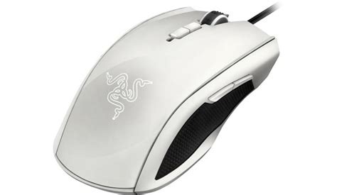 Razer mouse Taipan, white - Mice - Photopoint