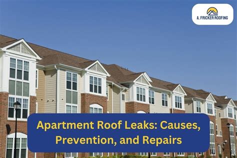 Apartment Roof Leaks Causes Prevention And Repairs