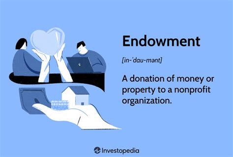 Understanding Endowments Types And Policies That Govern Them