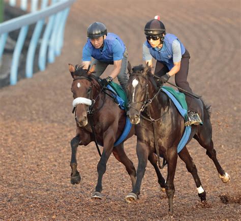 【pog】超良血馬アロンズロッドが豪華併せ馬でwコース初時計マーク 国枝調教師「特に注文をつけるところはない」 Umatoku 馬トク