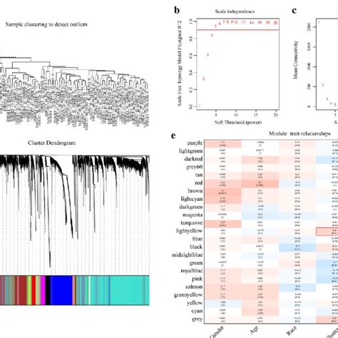 Molecular Subtype Classification According To Energy Metabolism In Download Scientific Diagram