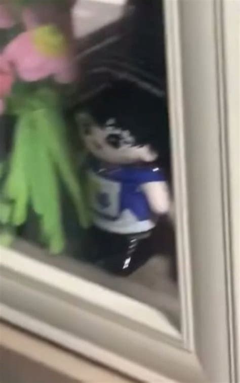 Aryaa💙 on Twitter: "Wait a second... how come biu has all plushie and ...