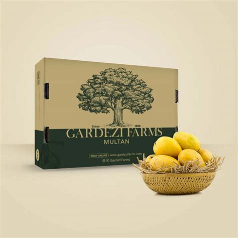 Chaunsa Mango - Buy the Best Quality Mangoes Online | Gardezi Farms Multan