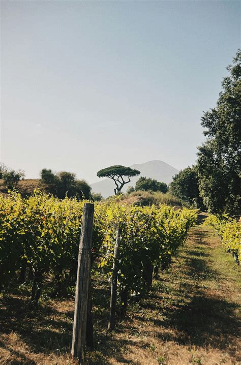 City Guide Aix-en-Provence Map | Sézane