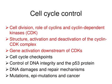 Ppt Cell Cycle Control Powerpoint Presentation Free Download Id