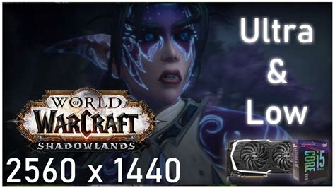 World Of Warcraft Shadowlands 2K I5 8600k RTX 2070 Ultra Low