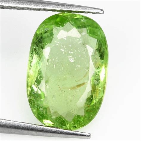 No Reserve Yellowish Green Paraiba Tourmaline Ct Catawiki