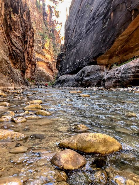 Zion Narrows Hiking Guide For Beginners Zion National Park — Hiking