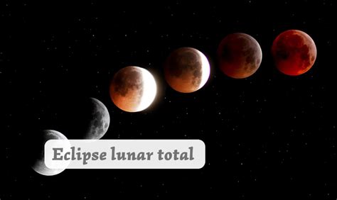 Eclipse lunar total saiba sobre horários e influencia Anatomia de