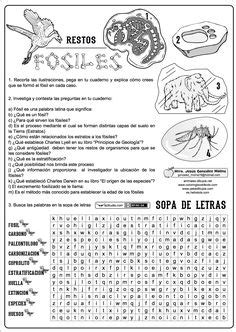 Ideas De Actividades Y Fichas Para Naturales Actividades Fichas