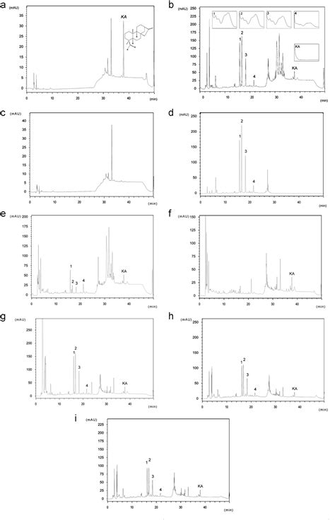 Figure From Development And Validation Of A Stability Indicative Hplc