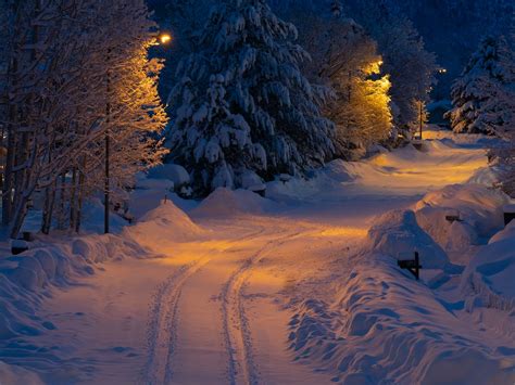 Trail and Trees Covered in Snow at Night · Free Stock Photo