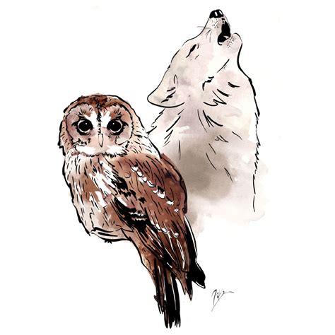 Owl And Wolf Spirit Animals Cute Sketches Owls Drawing Wolf Spirit