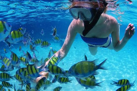 Reef Snorkel In Cancun