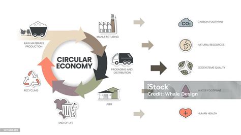 Ilustración De El Diagrama Infográfico De Economía Circular Tiene 6