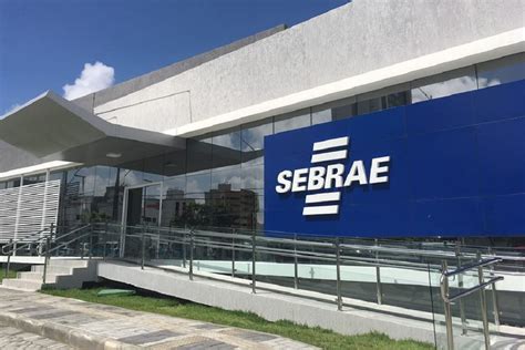 Empreendedorismo Sebrae Destaca As Atividades Que Lideram A